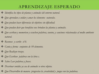 APRENDIZAJE ESPERADO
 Identifica los tipos de plantas y animales del entorno natural.
 Que aprendan a cuidar y amar los elementos naturales.
 Que puedan hacer diferencias de objetivos sin dificultad.
 Que puedan decir que beneficios nos brindan las plantas y animales.
 Que escriban y memoricen y escuchen palabras, cuentos, y canciones relacionadas al medio ambiente
natural.
 Reconoce y escribe el 0.
 Canta y forma conjuntos de 10 elementos.
 Que Realizen trazos.
 Que Escriban palabras con la letra s.
 Sabes Leer palabras y frases.
 Descrinar sonidos ya sea de animales u otros objetos.
 Que Desarrollen de manera progresiva la ,creatividad y juegos con las palabras. 13
 