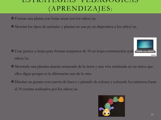 ESTRATEGIAS PEDAGÓGICAS
(APRENDIZAJES)
Formar una planta con hojas secas con los niños/as.
Mostrar los tipos de animales y plantas en una pc en diapositiva a los niños/as.
Usar granos u hojas para formar conjuntos de 10 en hojas construcción realizada para los
niños/as.
Mostrarle una plantita muerta arrancada de la tierra y una viva sembrada en un tarro; que
ellos digan porque es la diferencias una de la otra.
Diseñar un gusano con cartón de huevo y pintarlo de colores y colocarle los números hasta
el 10 encima realizados por los niños/as.
15
 