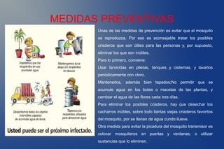 MEDIDAS PREVENTIVAS
Unas de las medidas de prevención es evitar que el mosquito
se reproduzca. Por eso es aconsejable tratar los posibles
criaderos que son útiles para las personas y, por supuesto,
eliminar los que son inútiles.
Para lo primero, conviene:
Usar larvicidas en piletas, tanques y cisternas, y lavarlos
periódicamente con cloro.
Mantenerlos, además bien tapados;No permitir que se
acumule agua en los botes o macetas de las plantas, y
cambiar el agua de las flores cada tres días.
Para eliminar los posibles criaderos, hay que desechar los
cacharros inútiles, sobre todo llantas viejas criaderos favoritos
del mosquito, por se llenan de agua cundo llueve.
Otra medida para evitar la picadura del mosquito transmisor es
colocar mosquiteros en puertas y ventanas, o utilizar
sustancias que lo eliminen.
 