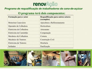 Programa de requalificação de trabalhadores da cana-de-açúcar
              O programa terá dois componentes:
  Formação para o setor      Requalificação para outros setores
                             (exemplos)
  Motorista Canavieiro       Apicultura e Reflorestamento
  Operador de Colhedora      Horticultura
  Eletricista de Colhedora   Artesanato
  Eletricista de Caminhão    Computação
  Mecânico de Colhedora      Costura
  Mecânico de Tratores       Construção Civil
  Eletricista de Tratores    Hotelaria
  Soldador                   Panificação
 