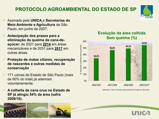 PROTOCOLO AGROAMBIENTAL DO ESTADO DE SP

 Assinado pela UNICA e Secretarias do
  Meio Ambiente e Agricultura de São
  Paulo, em junho de 2007;
                                                                                       Evolução da área colhida
 Antecipação dos prazos para a
                                                                                           Sem queima (%)
  eliminação da queima da cana-de-                                         60%
                                                                                                                                                    54,0%
  açúcar: de 2021 para 2014 em áreas




                                            % de área colhida sem queima
                                                                                                                             49,1%
  mecanizáveis e de 2031 para 2017 em                                      50%                         46,6%
  outras áreas.                                                            40%
                                                                                  34,2%
 Proteção de matas ciliares, recuperação                                  30%
  de nascentes e outras medidas de
  conservação                                                              20%

 171 usinas do Estado de São Paulo (mais                                  10%
  de 90% do total) já aderiram                                             0%
  voluntariamente.                                                               2006/2007          2007/2008              2008/2009            2009/2010*

 A colheita de cana crua no Estado de                                                       *estimativa. Fonte: Protocolo Agroambiental do Estado de São Paulo


  SP já atingiu 54% da área (safra
  2009/10).
 