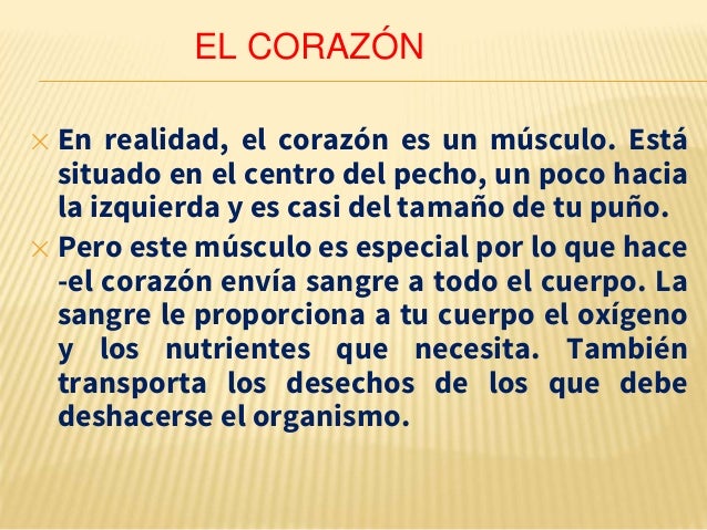 Las causas de los dolores en la espalda son más derechas la columna vertebral