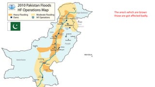 The area’s which are brown
those are got affected badly.
 