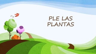 PLE LAS
PLANTAS
 