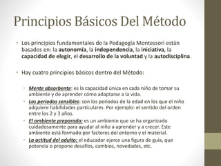 Principios Básicos Del Método
• Los principios fundamentales de la Pedagogía Montessori están
basados en: la autonomía, la independencia, la iniciativa, la
capacidad de elegir, el desarrollo de la voluntad y la autodisciplina.
• Hay cuatro principios básicos dentro del Método:
• Mente absorbente: es la capacidad única en cada niño de tomar su
ambiente y de aprender cómo adaptarse a la vida.
• Los periodos sensibles: son los periodos de la edad en los que el niño
adquiere habilidades particulares. Por ejemplo: el sentido del orden
entre los 2 y 3 años.
• El ambiente preparado: es un ambiente que se ha organizado
cuidadosamente para ayudar al niño a aprender y a crecer. Este
ambiente está formado por factores del entorno y el material.
• La actitud del adulto: el educador ejerce una figura de guía, que
potencia o propone desafíos, cambios, novedades, etc.
 