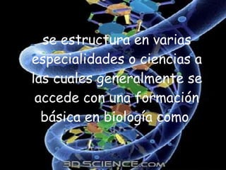 se estructura en varias especialidades o ciencias a las cuales generalmente se accede con una formación básica en biología como  