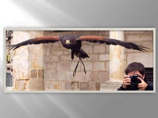 Mariam presentacion1