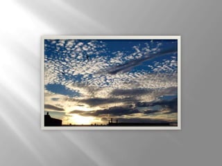 Mariam presentacion1