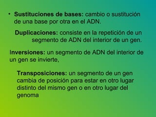 Sustituciones de bases:  cambio o sustitución de una base por otra en el ADN. Duplicaciones:  consiste en la repetición de un  segmento de ADN del interior de un gen. I nversiones:  un segmento de ADN del interior de un gen se invierte,  Transposiciones:  un segmento de un gen cambia de posición para estar en otro lugar distinto del mismo gen o en otro lugar del genoma  