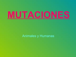 MUTACIONES Animales y Humanas 