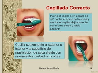 Mariana Ramos Meoño 12
Cepillado Correcto
Incline el cepillo a un ángulo de
45° contra el borde de la encía y
deslice el cepillo alejándose de
ese mismo borde y hacia
adelante.
Cepille suavemente el exterior e
interior y la superficie de
masticación de cada diente con
movimientos cortos hacia atrás.
 