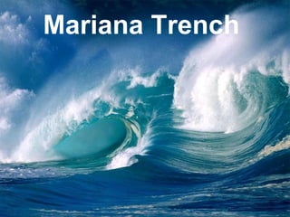 Mariana Trench  