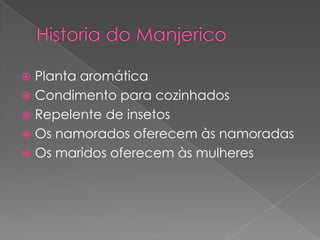  Planta aromática
 Condimento para cozinhados
 Repelente de insetos
 Os namorados oferecem às namoradas
 Os maridos oferecem às mulheres
 