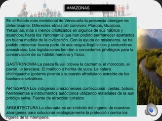 En el Estado más meridional de Venezuela la presencia aborigen es
determinante. Diferentes etnias allí conviven: Piaroas, Guajibos,
Yekuanas, más o menos criollizados en algunos de sus hábitos y
atuendos, hasta los Yanomamis que han podido permanecer apartados
en buena medida de la civilización. Con la ayuda de misioneros, se ha
podido preservar buena parte de sus rasgos lingüísticos y costumbres
ancestrales. Las legislaciones tienden a concederles privilegios para la
conservación de su hábitat humano y físico.
GASTRONOMIA La pesca fluvial provee la cachama, el morocoto, el
pavón, la terecaya. El mañoco o harina de yuca. La catara
chichiguache (potente picante y supuesto afrodisíaco extraído de los
bachacos selváticos.
ARTESANIA Los indígenas amazonenses confeccionan cestas, bolsos,
herramientas e instrumentos autóctonos utilizando materiales de la aun
pródiga selva. Fuente de atracción turística
ARQUITECTURA La churuata es un símbolo del ingenio de nuestros
aborígenes para solucionar ecológicamente la protección contra los
rigores de la intemperie.
AMAZONAS
 