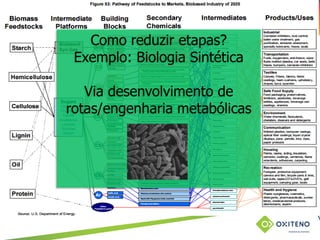 TÍTULO DO SLIDE OU ASSUNTO
(pode ser utilizado em duas linhas)
Como reduzir etapas?
Exemplo: Biologia Sintética
Via desenvolvimento de
rotas/engenharia metabólicas
 