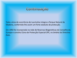 ContinuaçãoToda a área de ocorrência de Laurissilva integra o Parque Natural da Madeira, conferindo-lhe assim um forte estatuto de protecção.  Em 1992 foi incorporada na rede de Reservas Biogenéticas do Conselho da Europa e constitui Zona de Protecção Especial-ZPE, no âmbito da Directiva Aves.