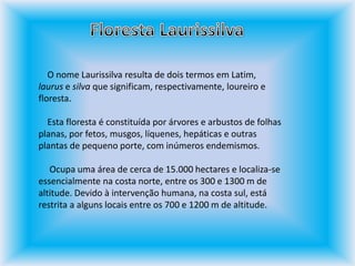 Floresta Laurissilva    O nome Laurissilva resulta de dois termos em Latim, laurus e silva que significam, respectivamente, loureiro e floresta.      Esta floresta é constituída por árvores e arbustos de folhas planas, por fetos, musgos, líquenes, hepáticas e outras plantas de pequeno porte, com inúmeros endemismos.       Ocupa uma área de cerca de 15.000 hectares e localiza-se essencialmente na costa norte, entre os 300 e 1300 m de altitude. Devido à intervenção humana, na costa sul, está restrita a alguns locais entre os 700 e 1200 m de altitude.
