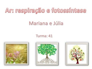 Mariana e Júlia
Turma: 41
 