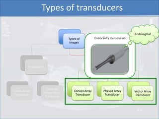 Types of transducers

                                                                                   Endovaginal
     ...