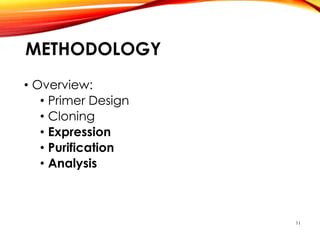 METHODOLOGY
• Overview:
• Primer Design
• Cloning
• Expression
• Purification
• Analysis
11
 