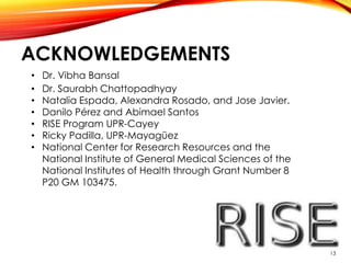 ACKNOWLEDGEMENTS
• Dr. Vibha Bansal
• Dr. Saurabh Chattopadhyay
• Natalia Espada, Alexandra Rosado, and Jose Javier.
• Danilo Pérez and Abimael Santos
• RISE Program UPR-Cayey
• Ricky Padilla, UPR-Mayagüez
• National Center for Research Resources and the
National Institute of General Medical Sciences of the
National Institutes of Health through Grant Number 8
P20 GM 103475.
13
 