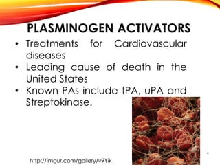 PLASMINOGEN ACTIVATORS
• Treatments for Cardiovascular
diseases
• Leading cause of death in the
United States
• Known PAs include tPA, uPA and
Streptokinase.
http://imgur.com/gallery/v9Yik
4
 