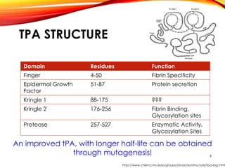TPA STRUCTURE
Domain Residues Function
Finger 4-50 Fibrin Specificity
Epidermal Growth
Factor
51-87 Protein secretion
Kringle 1 88-175 ???
Kringle 2 176-256 Fibrin Binding,
Glycosylation sites
Protease 257-527 Enzymatic Activity,
Glycosylation Sites
An improved tPA, with longer half-life can be obtained
through mutagenesis!
http://www.chem.cmu.edu/groups/Llinas/res/structure/tpa-big.html
6
 