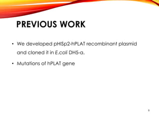 PREVIOUS WORK
• We developed pHISp2-hPLAT recombinant plasmid
and cloned it in E.coli DH5-α.
• Mutations of hPLAT gene
8
 