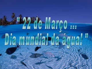 &quot; 22 de Março ... Dia mundial da água! &quot; 