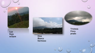 Luz
Rojo
eclipse Dios
Blanco
hermoso
Tristeza
Finca
prado
 