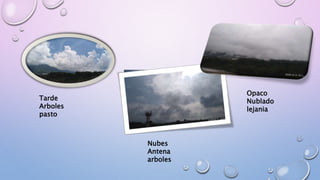 Tarde
Arboles
pasto
Nubes
Antena
arboles
Opaco
Nublado
lejania
 