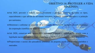 ₪Até 2025, prevenir e reduzir significativamente a poluição marítima de todos os tipos,
especialmente a que advém de atividades terrestres, incluindo detritos marinhos e a poluição
por nutrientes;
₪Minimizar e enfrentar os impactos da acidificação dos oceanos, inclusive através do reforço
da cooperação científica em todos os níveis;
₪Até 2020, conservar pelo menos 10% das zonas costeiras e marinhas, de acordo com a
legislação nacional e internacional, e com base na melhor informação científica disponível;
₪Proporcionar o acesso dos pescadores artesanais de pequena escala aos recursos marinhos e
mercados.
OBJETIVO 14: PROTEGER A VIDA
MARINHA
 
