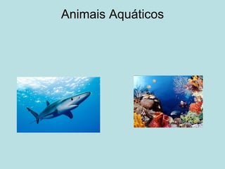 Animais Aquáticos 