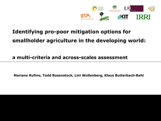 Identifying pro-poor mitigation options for
smallholder agriculture in the developing world:


a multi-criteria and across-scales assessment


Mariana Rufino, Todd Rosenstock, Lini Wollenberg, Klaus Butterbach-Bahl
 