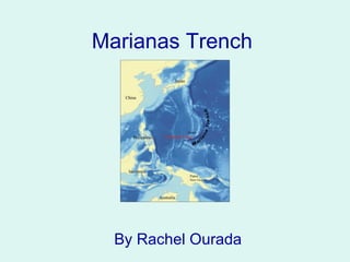 Marianas Trench By Rachel Ourada 