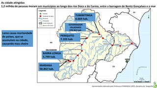 Apresentação elaborada pela Professora FERNANDA LOPES, disciplina de Geografia
As cidade atingidas
1,2 milhão de pessoas moram em municípios ao longo dos rios Doce e do Carmo, entre a barragem de Bento Gonçalves e o mar
MARIANA
58.802 hab.
BARRA LONGA
5.799 hab.
PERIQUITO
7.103 hab.
GOVERNADOR
VALADARES
278.363 hab.
TUMIRITINGA
6.669 hab.
Lama causa mortandade
de peixes, que se
acumulam na cidade,
causando mau cheiro
 