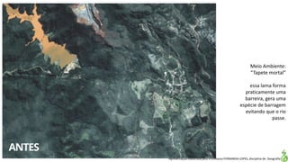 Apresentação elaborada pela Professora FERNANDA LOPES, disciplina de Geografia
Meio Ambiente:
“Tapete mortal”
essa lama forma
praticamente uma
barreira, gera uma
espécie de barragem
evitando que o rio
passe.
 