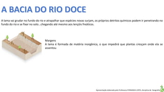 Apresentação elaborada pela Professora FERNANDA LOPES, disciplina de Geografia
A lama vai grudar no fundo do rio e atrapalhar que espécies novas surjam, os próprios detritos químicos podem ir penetrando no
fundo do rio e se fixar no solo...chegando até mesmo aos lençóis freáticos.
Margens
A lama é formada de matéria inorgânica, o que impedirá que plantas cresçam onde ela se
assentou
 