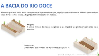 Apresentação elaborada pela Professora FERNANDA LOPES, disciplina de Geografia
A lama vai grudar no fundo do rio e atrapalhar que espécies novas surjam, os próprios detritos químicos podem ir penetrando no
fundo do rio e se fixar no solo...chegando até mesmo aos lençóis freáticos.
Margens
A lama é formada de matéria inorgânica, o que impedirá que plantas cresçam onde ela se
assentou
Fundo do rio
Lama cimenta o assoalho do rio, impedindo que haja vida ali
 