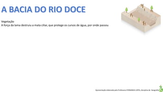 Apresentação elaborada pela Professora FERNANDA LOPES, disciplina de Geografia
Vegetação
A força da lama destruiu a mata ciliar, que protege os cursos de água, por onde passou
 
