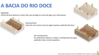 Apresentação elaborada pela Professora FERNANDA LOPES, disciplina de Geografia
Vegetação
A força da lama destruiu a mata ciliar, que protege os cursos de água, por onde passou
pH e temperatura
Os sedimentos alteram a acidez e a temperatura da água,
podendo matar animais aquáticos
Assoreamento
Leito dos rios se torna raso em alguns pontos, podendo até secar
 