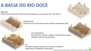 Apresentação elaborada pela Professora FERNANDA LOPES, disciplina de Geografia
Vegetação
A força da lama destruiu a mata ciliar, que protege os cursos de água, por onde passou
pH e temperatura
Os sedimentos alteram a acidez e a temperatura da água,
podendo matar animais aquáticos
Luz
A turbidez da água impede que a luz passe, mudando a
temperatura e impedindo a fotossíntese
Assoreamento
Leito dos rios se torna raso em alguns pontos, podendo até secar
 