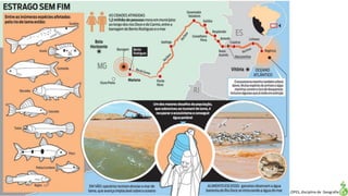 Apresentação elaborada pela Professora FERNANDA LOPES, disciplina de Geografia
 
