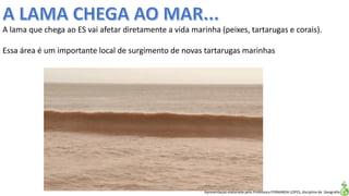 Apresentação elaborada pela Professora FERNANDA LOPES, disciplina de Geografia
A lama que chega ao ES vai afetar diretamente a vida marinha (peixes, tartarugas e corais).
Essa área é um importante local de surgimento de novas tartarugas marinhas
 