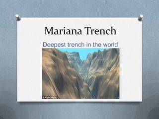 Mariana Trench
Deepest trench in the world
 