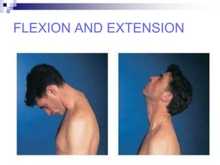 FLEXION AND EXTENSION
 