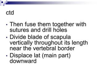 ctd
• Then fuse them together with
sutures and drill holes
• Divide blade of scapula
vertically throughout its length
near the vertebral border
• Displace lat (main part)
downward
 
