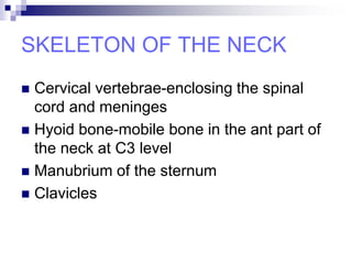 SKELETON OF THE NECK
 Cervical vertebrae-enclosing the spinal
cord and meninges
 Hyoid bone-mobile bone in the ant part of
the neck at C3 level
 Manubrium of the sternum
 Clavicles
 