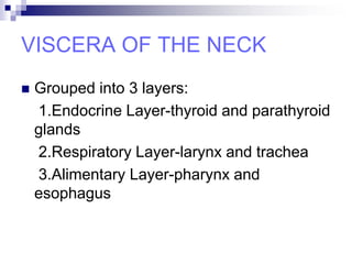 VISCERA OF THE NECK
 Grouped into 3 layers:
1.Endocrine Layer-thyroid and parathyroid
glands
2.Respiratory Layer-larynx and trachea
3.Alimentary Layer-pharynx and
esophagus
 