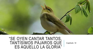 “SE OYEN CANTAR TANTOS,
TANTÍSIMOS PÁJAROS QUE
ES AQUELLO LA GLORIA”
Capítulo VI
 